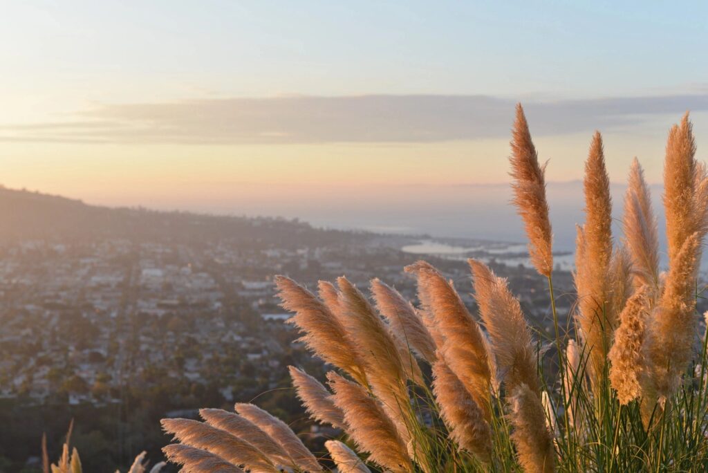 Overlooking a town in the morning