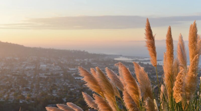 Overlooking a town in the morning