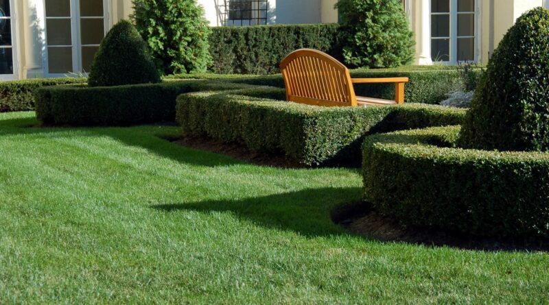 A well-kept yard
