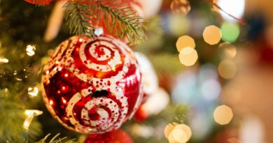 A Christmas Ornament on a Tree