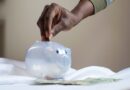 piggy bank