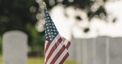 flag in cemetary
