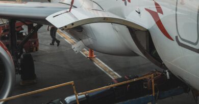 luggage being loaded onto plane