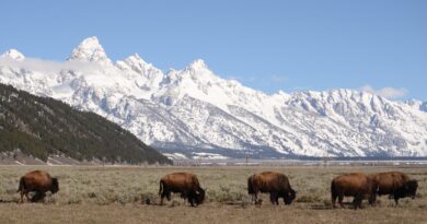 Jackson Hole, Wyoming