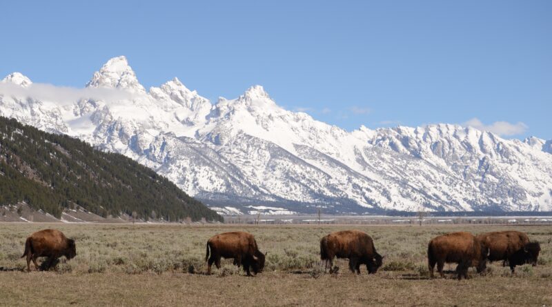Jackson Hole, Wyoming