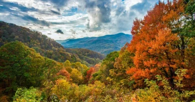 fall colors of Blue Ridge Parkway